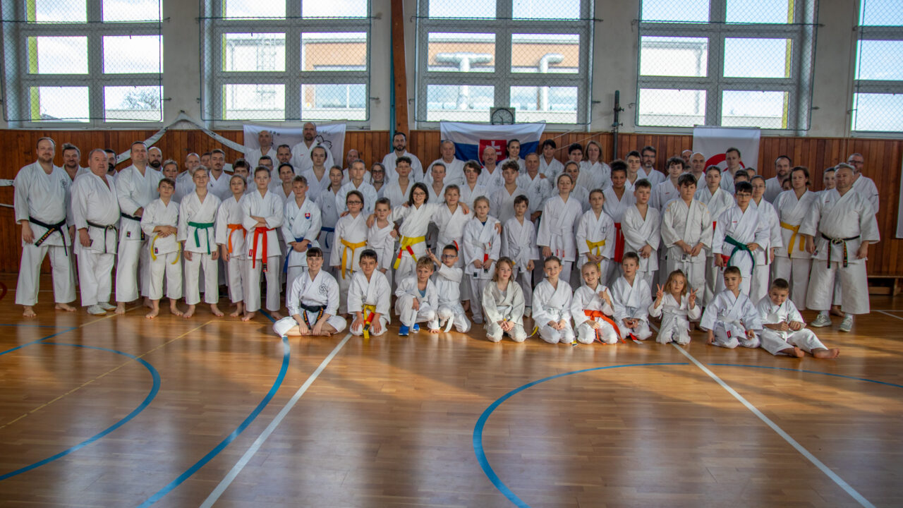 Otvorený seminár karate v Kráľovej pri Senci
